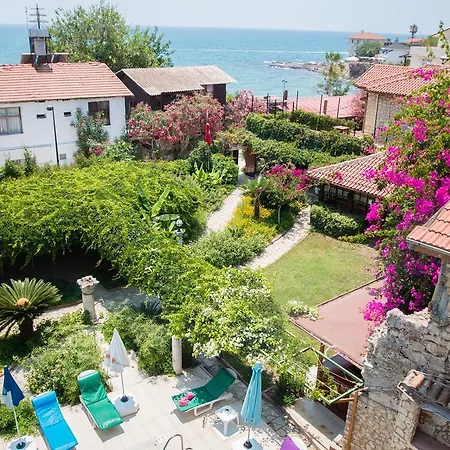 Hotel Lale Park